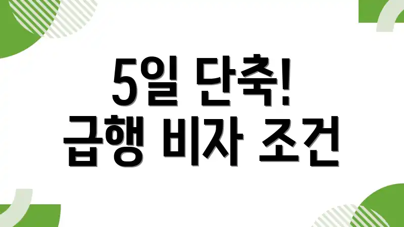 5일 단축! 급행 비자 조건