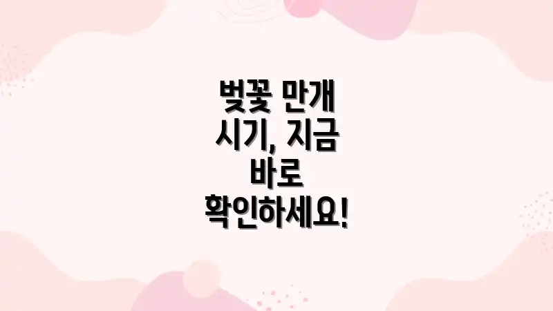 벚꽃 만개 시기, 지금 바로 확인하세요!