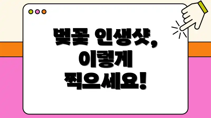 벚꽃 인생샷, 이렇게 찍으세요!