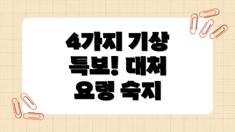 4가지 기상 특보! 대처 요령 숙지