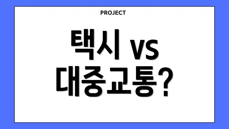 택시 vs 대중교통?