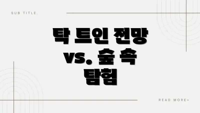 탁 트인 전망 vs. 숲 속 탐험
