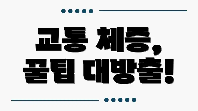 교통 체증, 꿀팁 대방출!