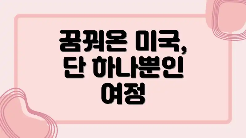 꿈꿔온 미국, 단 하나뿐인 여정