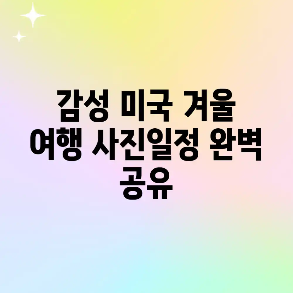 감성 미국 겨울 여행 사진&일정 완벽 공유