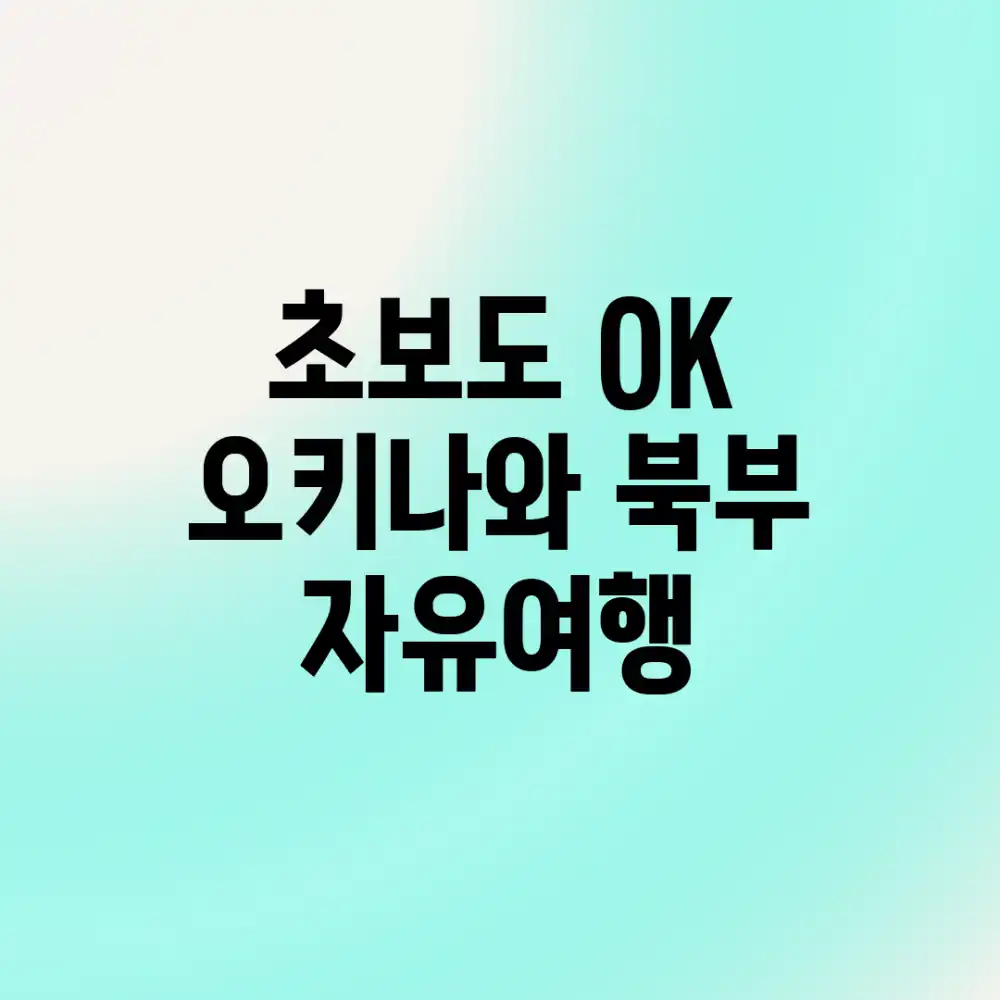 초보도 OK! 오키나와 북부 자유여행