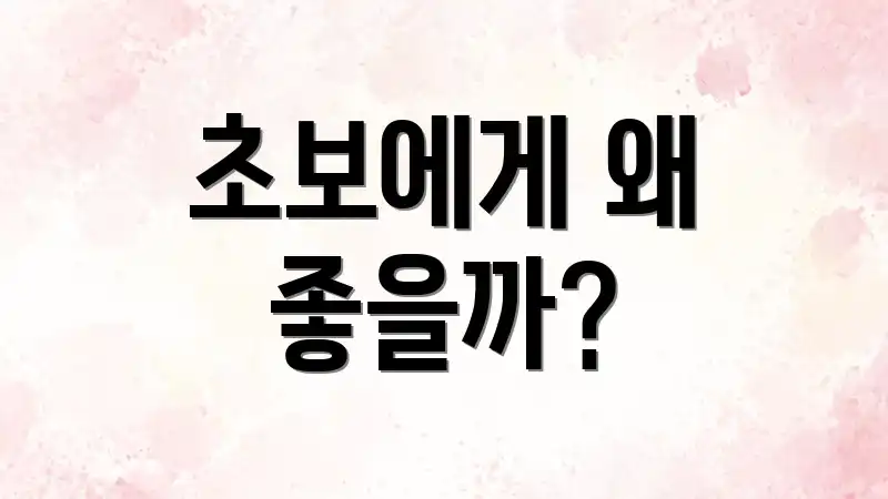 초보에게 왜 좋을까?