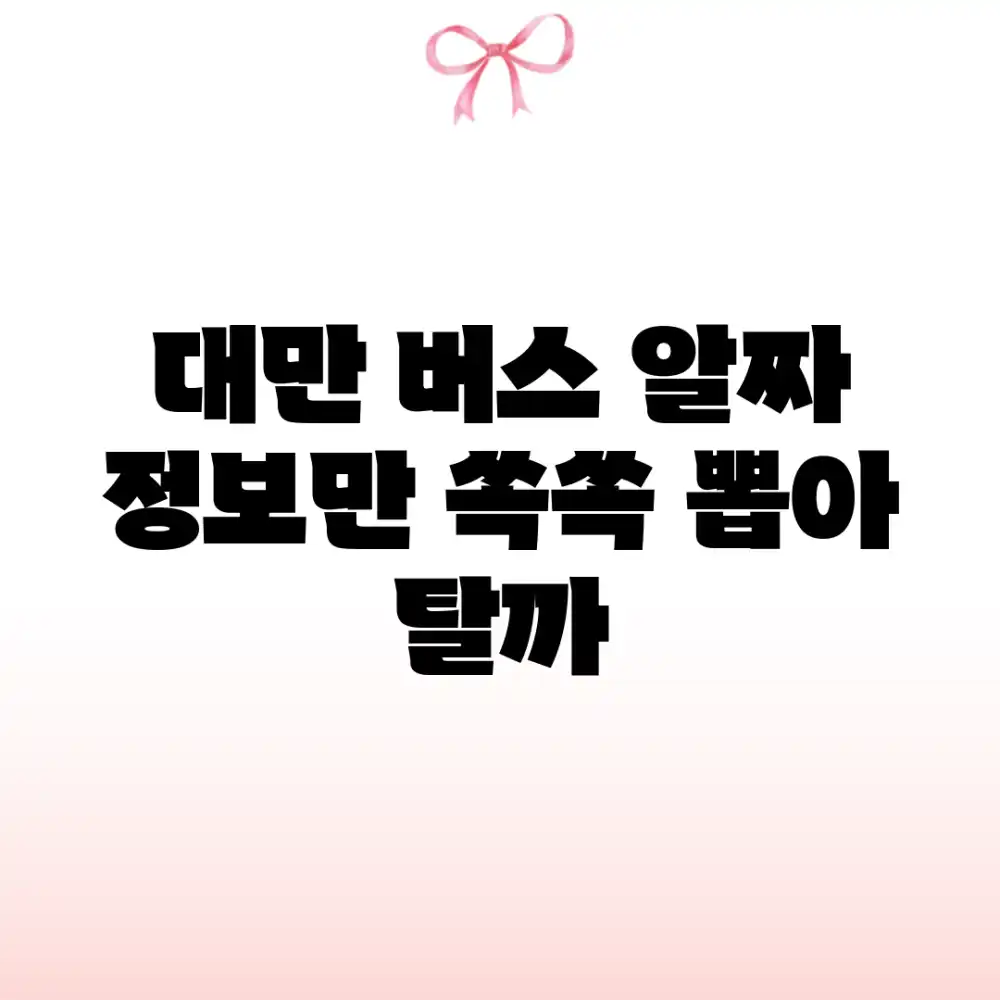 대만 버스, 알짜 정보만 쏙쏙 뽑아 탈까?