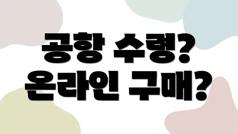 공항 수령? 온라인 구매?