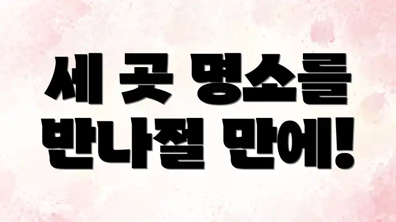 세 곳 명소를 반나절 만에!