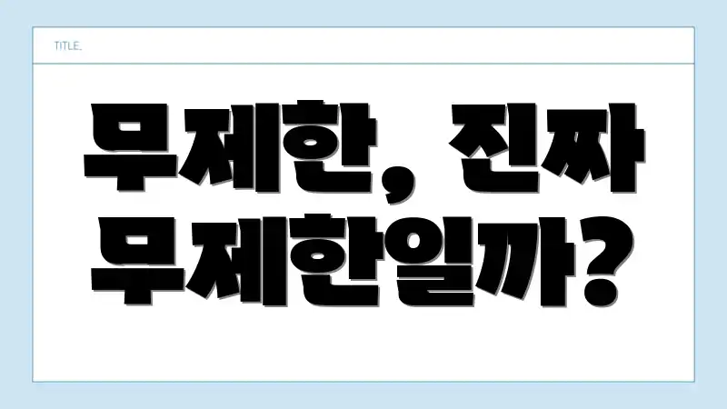 무제한, 진짜 무제한일까?