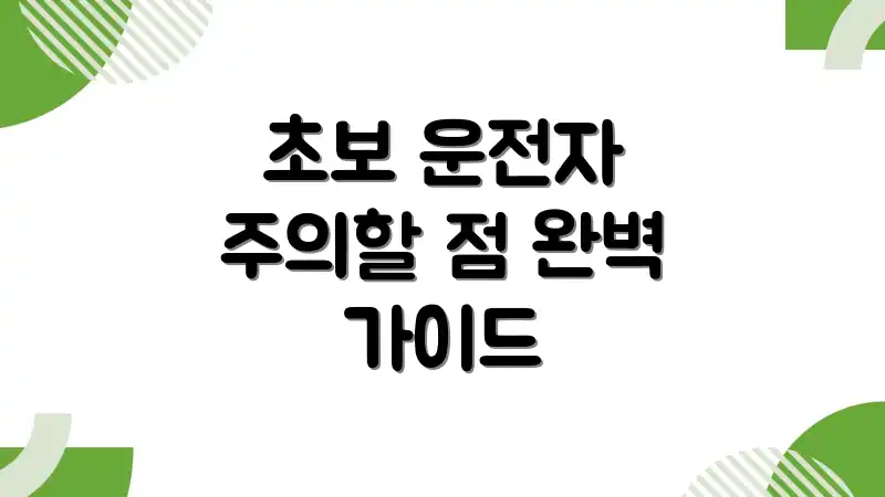 초보 운전자 주의할 점 완벽 가이드