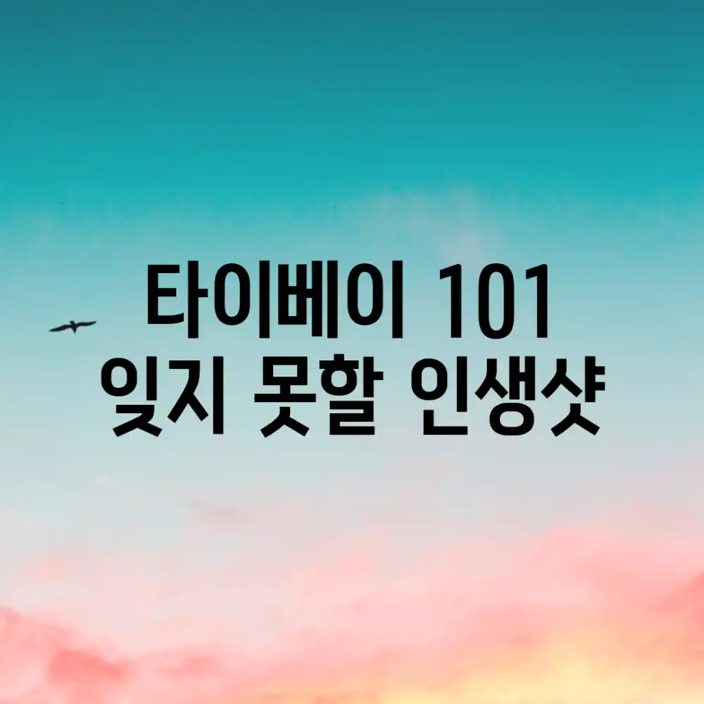 타이베이 101, 잊지 못할 인생샷!