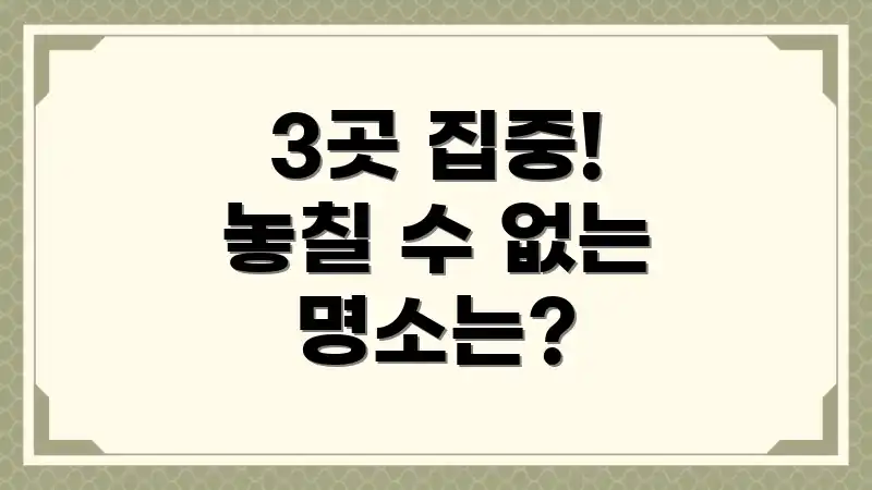 3곳 집중! 놓칠 수 없는 명소는?