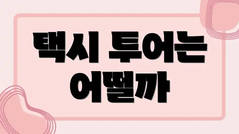 택시 투어는 어떨까