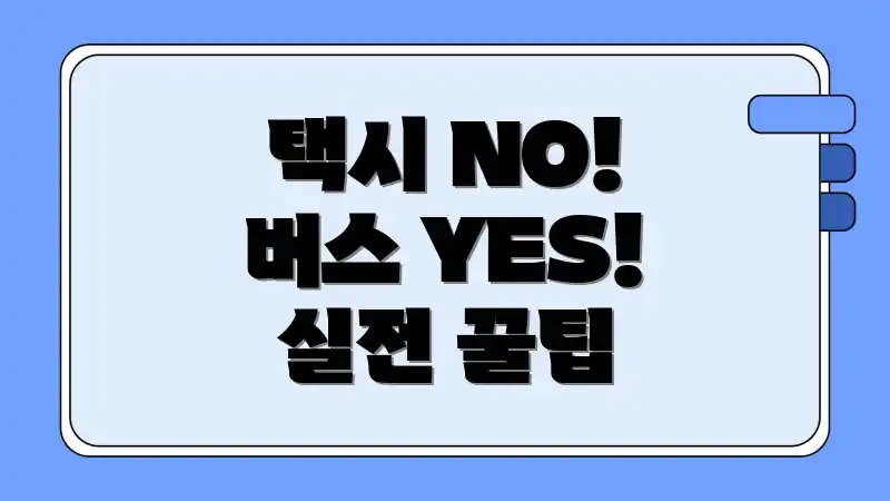 택시 NO! 버스 YES! 실전 꿀팁