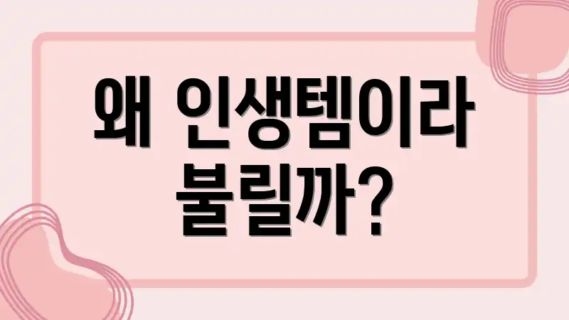 왜 인생템이라 불릴까?