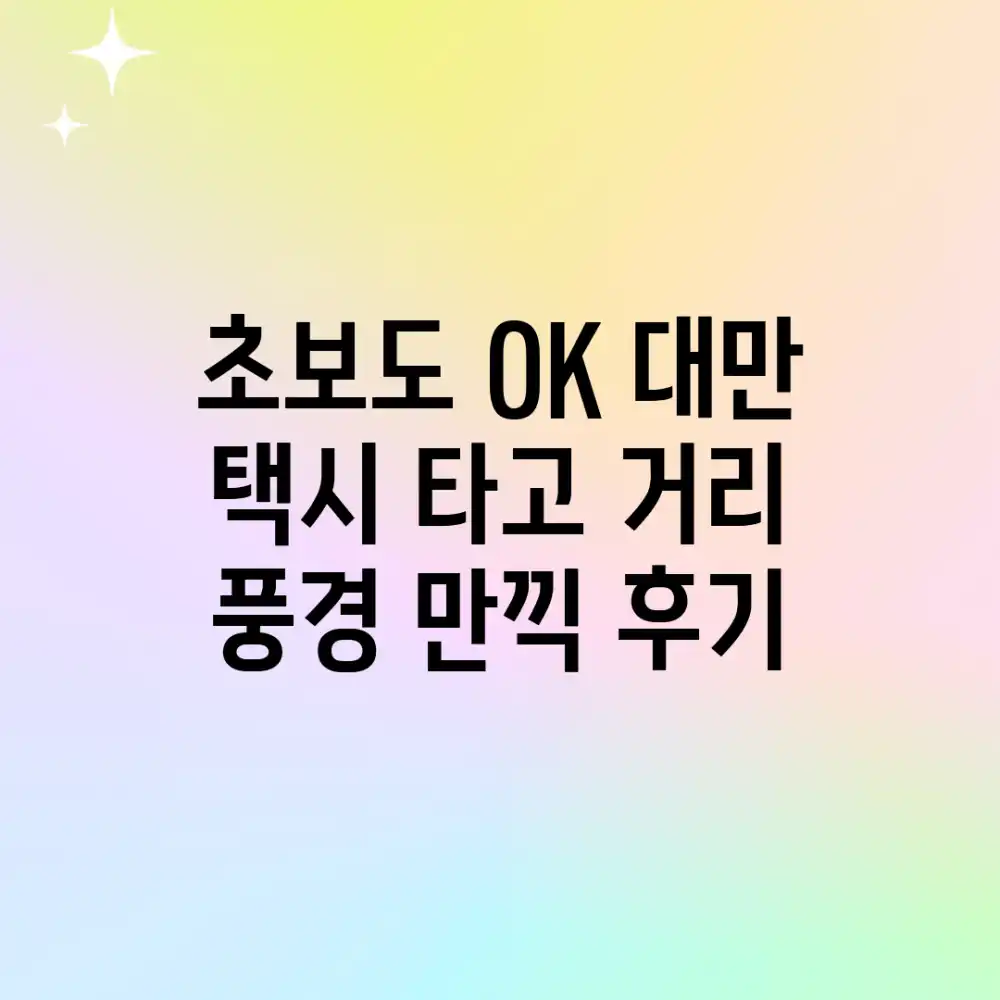초보도 OK! 대만 택시 타고 거리 풍경 만끽 후기