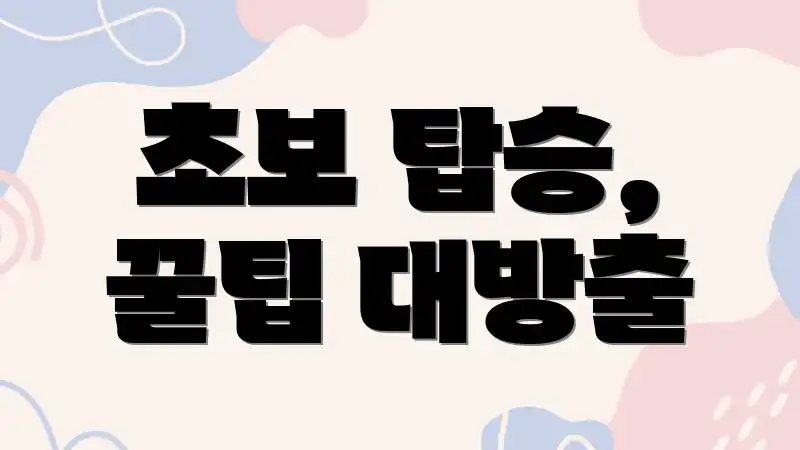 초보 탑승, 꿀팁 대방출