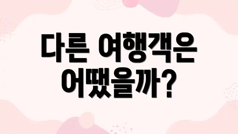 다른 여행객은 어땠을까?