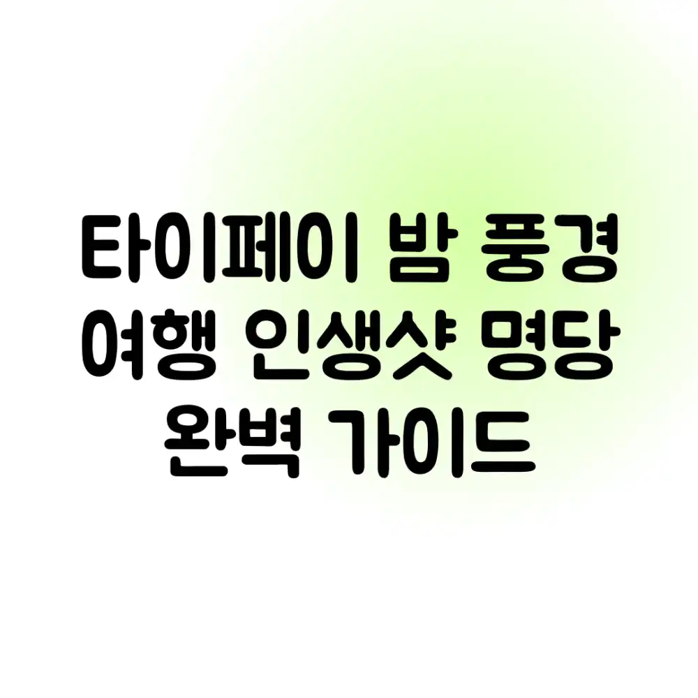 타이페이 밤 풍경 여행: 인생샷 명당 완벽 가이드