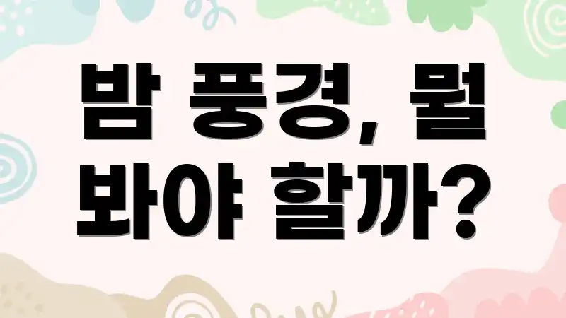 밤 풍경, 뭘 봐야 할까?