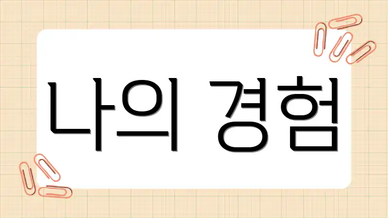 나의 경험