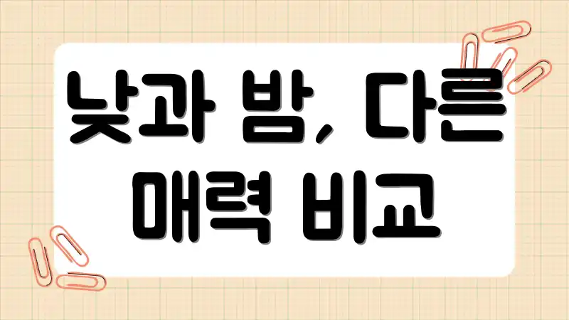 낮과 밤, 다른 매력 비교