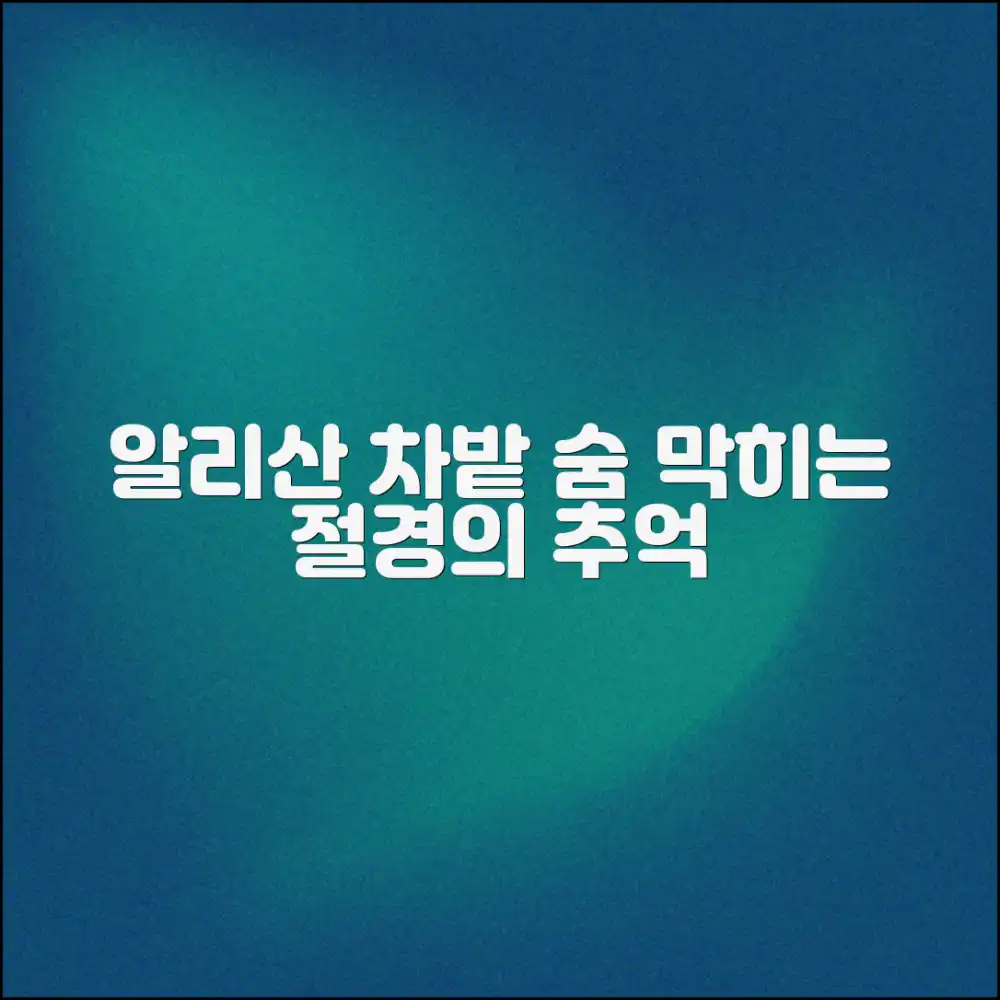 놀라운 알리산 차밭: 잊을 수 없는 아름다운 기억