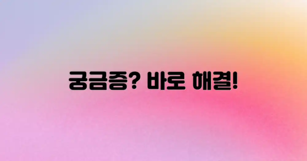 자주 묻는 질문