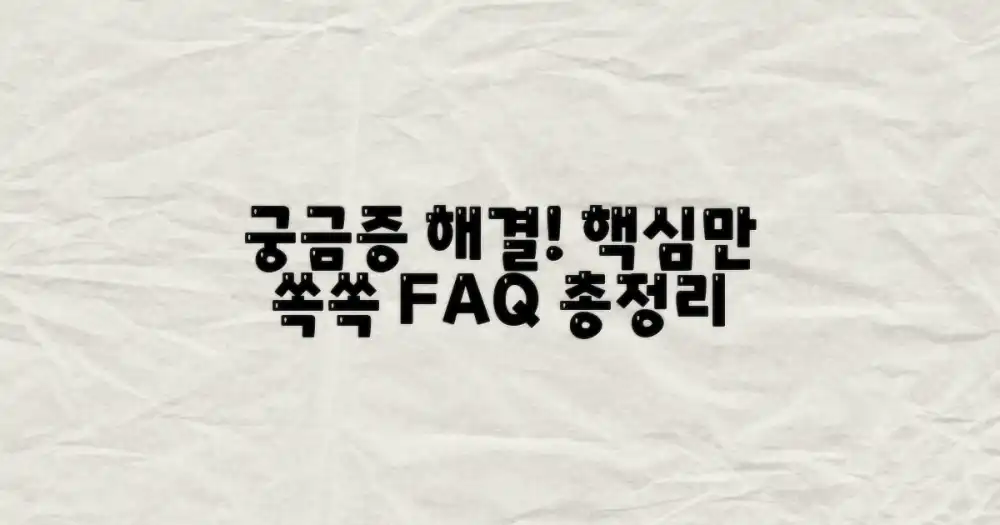 자주 묻는 질문