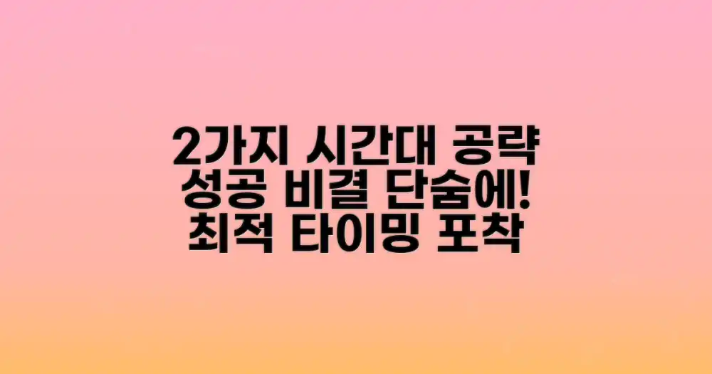 2가지 시간대 공략