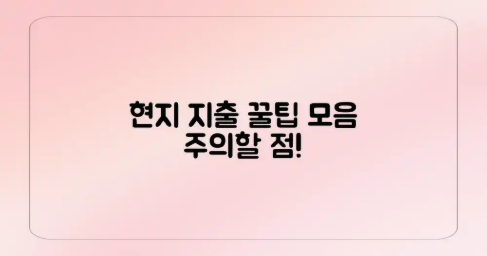 현지 지출 시 주의사항