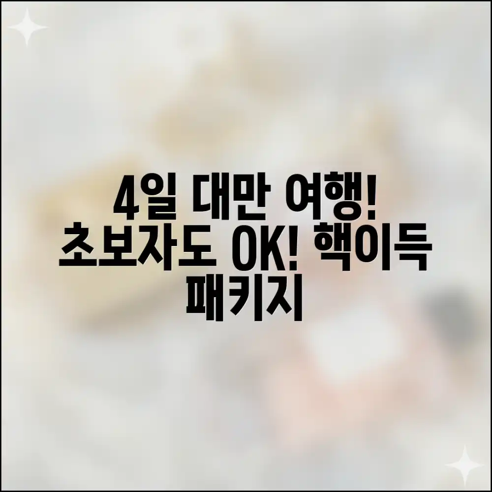 초보자도 4일! 대만 패키지 효율 일정