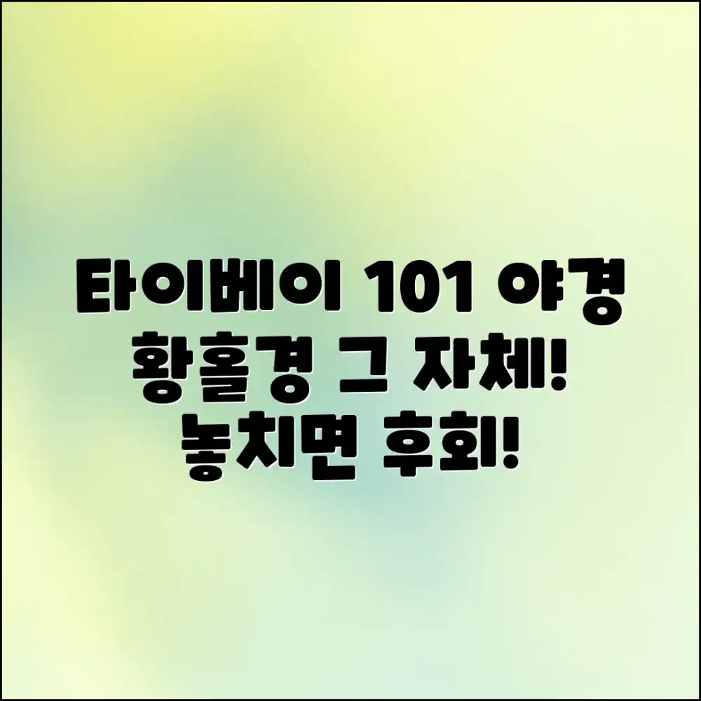 타이베이 101 야경: 놀라운 황홀경