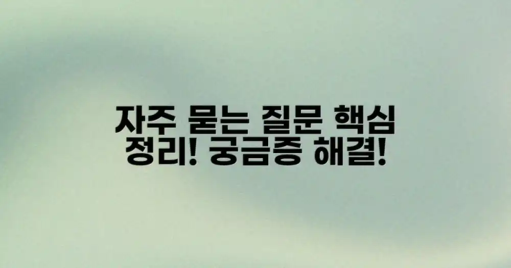 자주 묻는 질문