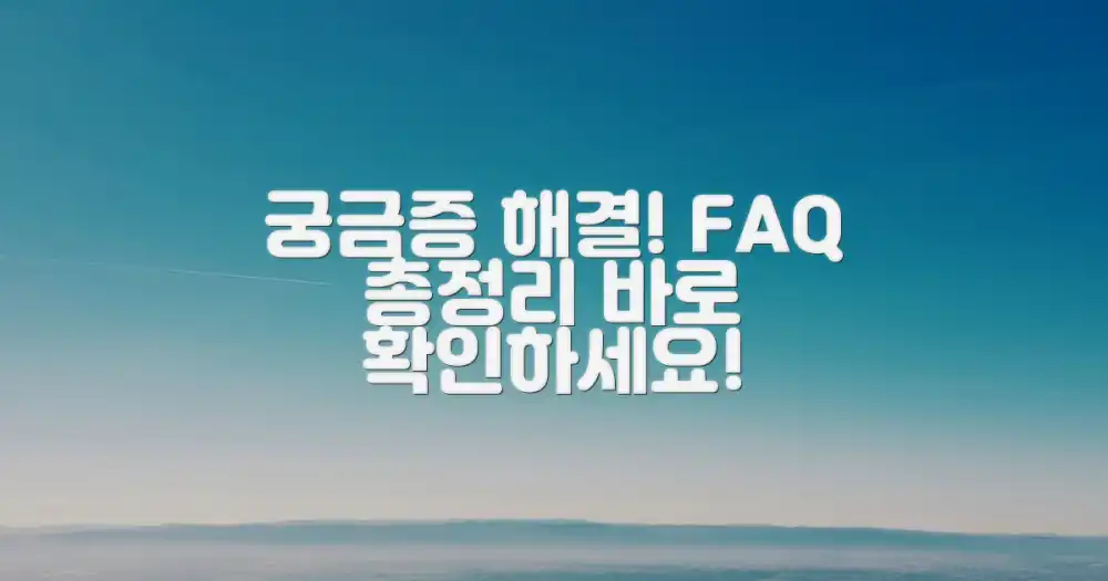 자주 묻는 질문