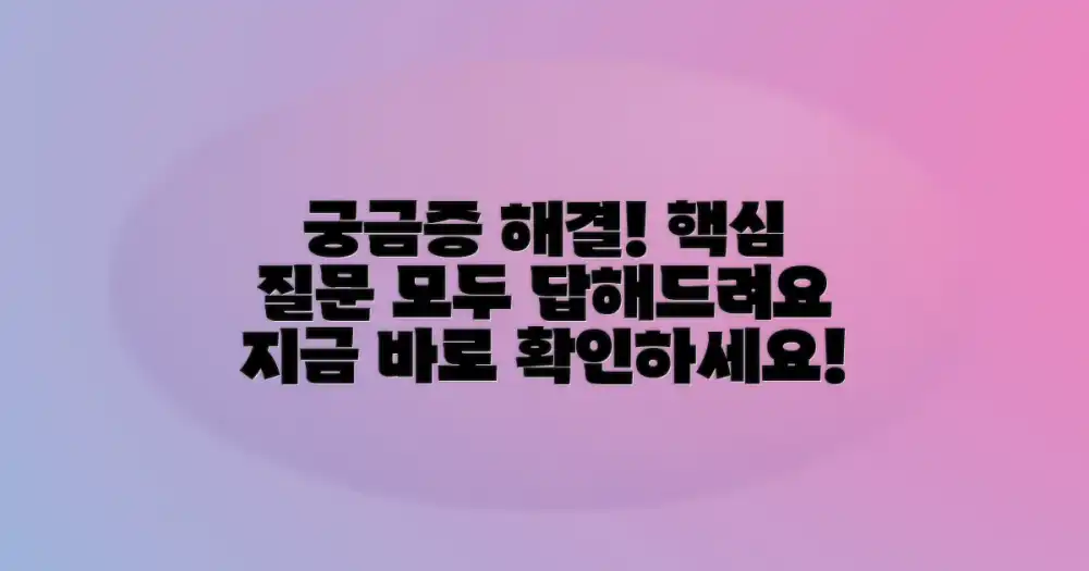 자주 묻는 질문