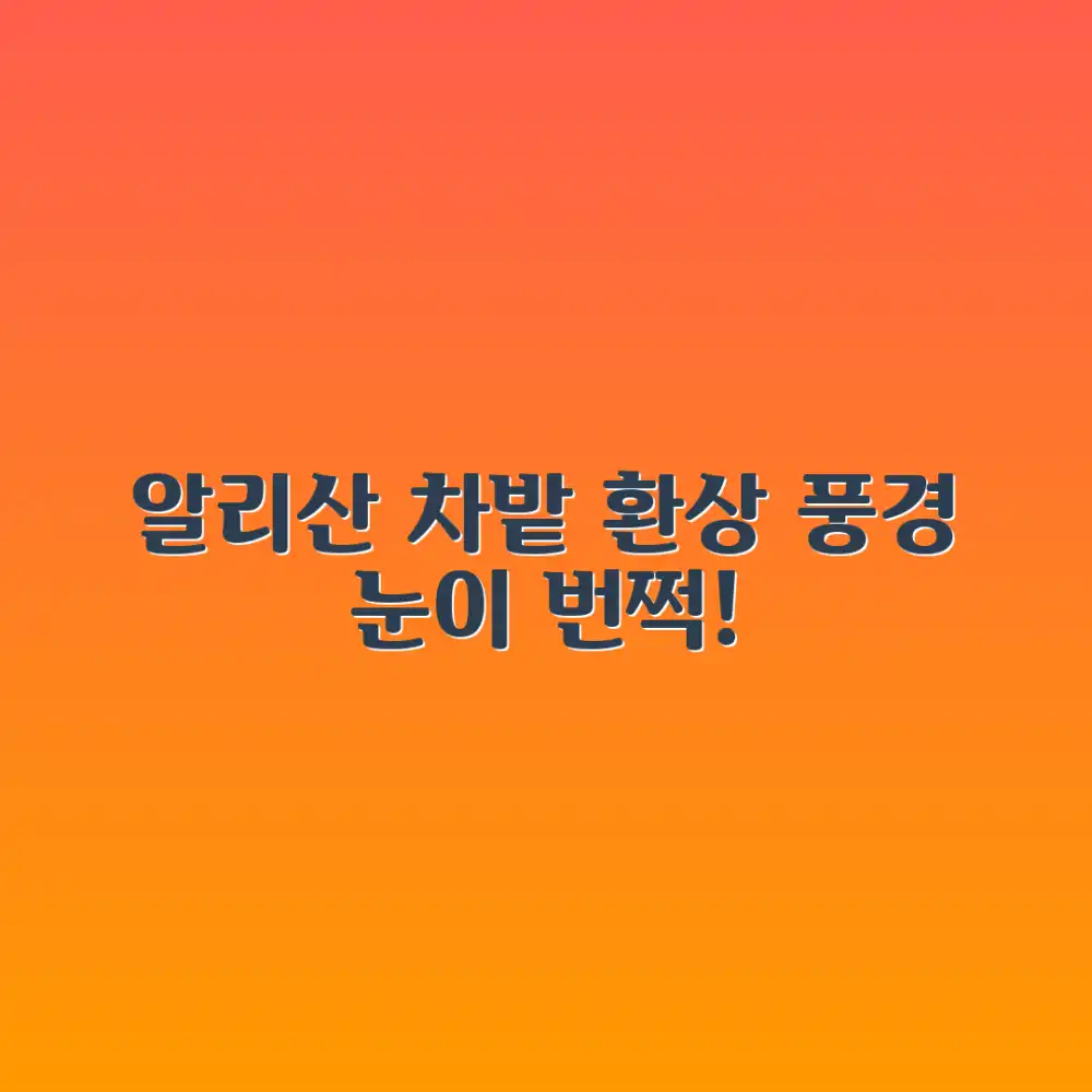 알리산 차밭, 놀라운 풍경에 흠뻑 빠지다