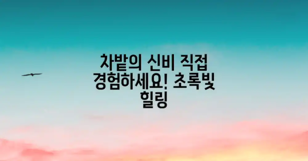차밭의 신비, 직접 경험하세요!