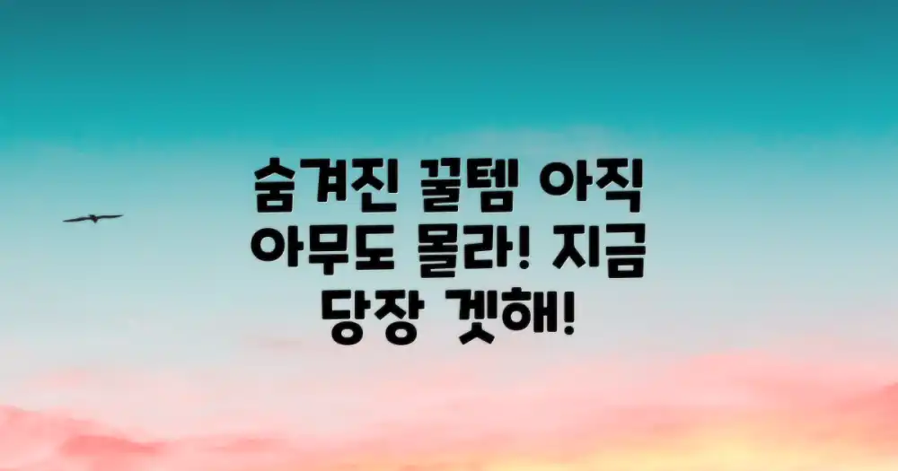 아직 모르는 숨겨진 꿀템