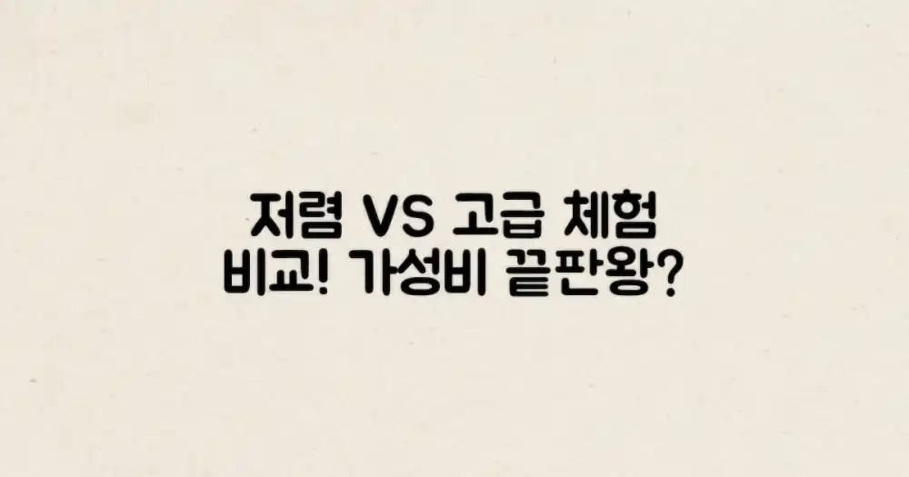 저렴 vs 고급 체험