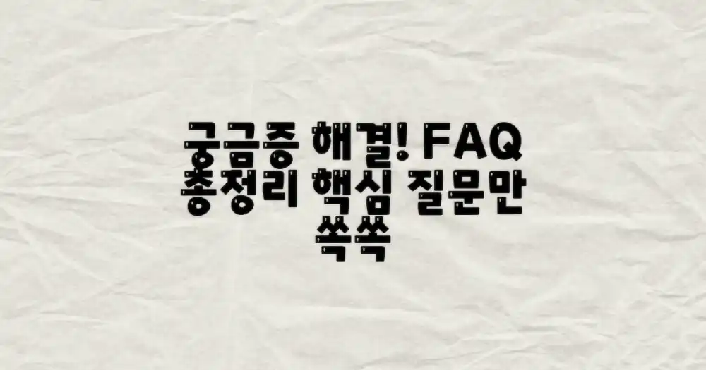 자주 묻는 질문