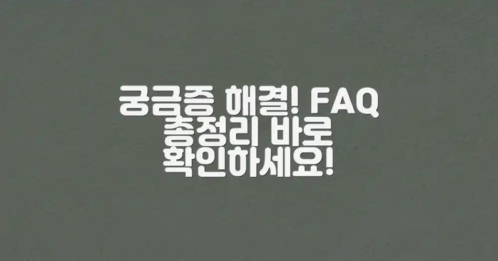 자주 묻는 질문