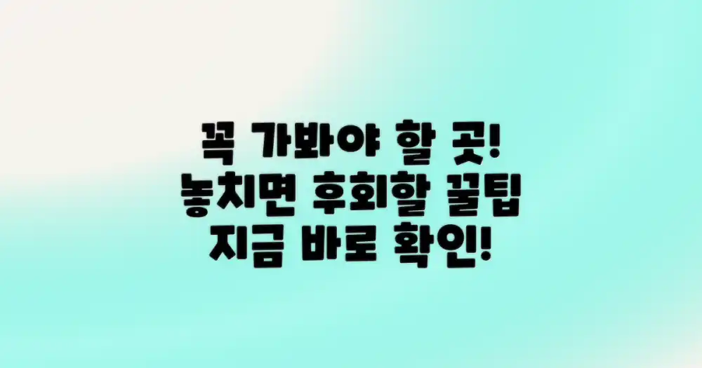 이곳은 꼭 들러보세요!