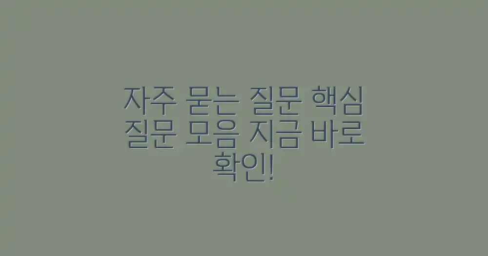 자주 묻는 질문