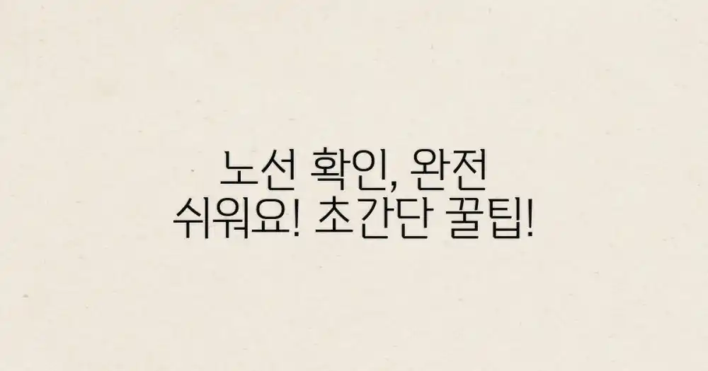 노선 확인, 어렵지 않아요!