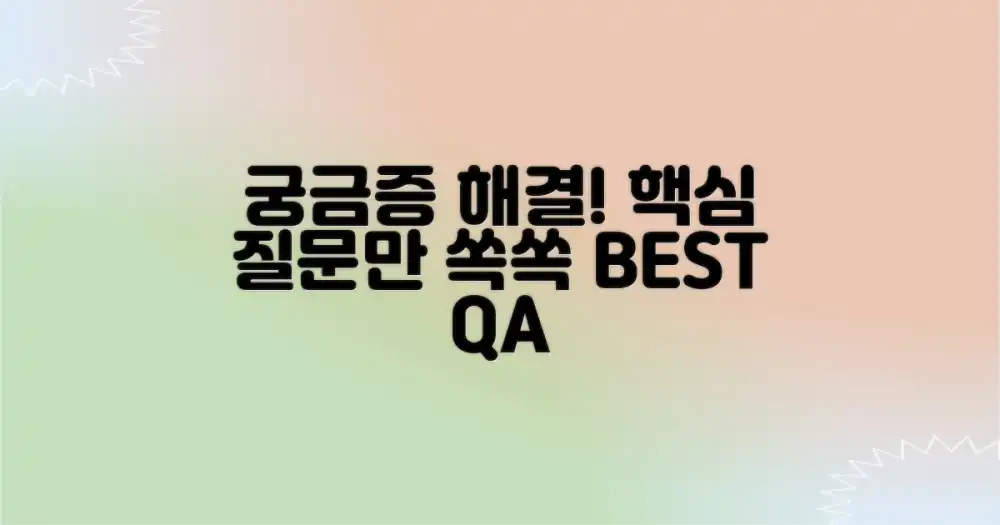 자주 묻는 질문