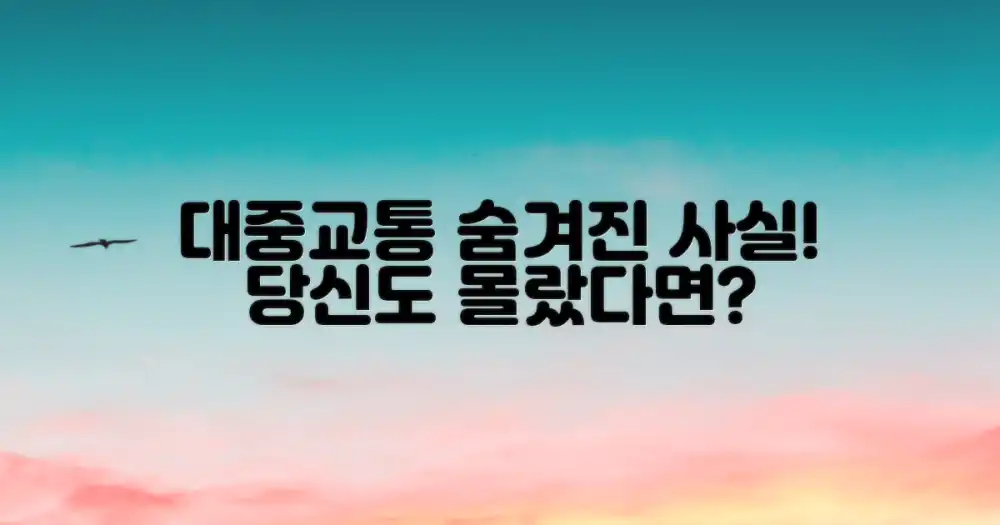 현지 대중교통, 당신이 몰랐던 사실