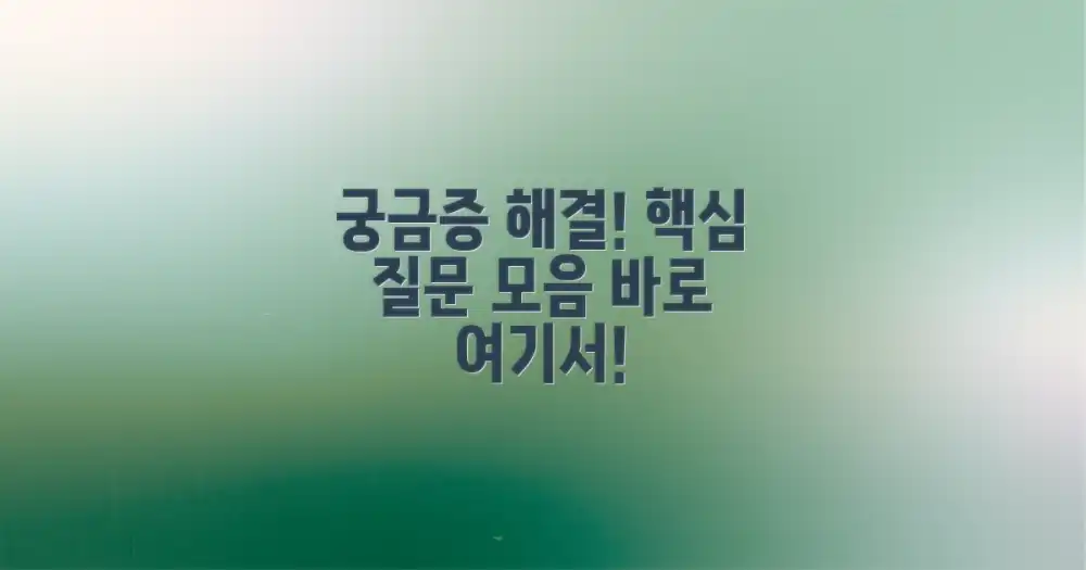자주 묻는 질문